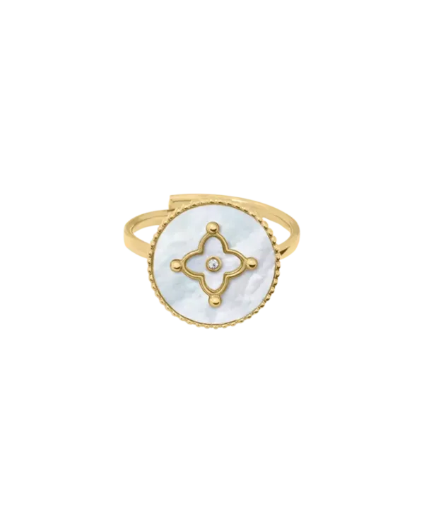Bague Ajustable Pierre Lannier